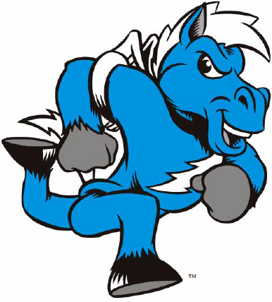 Middle Tennessee Blue Raiders 0-Pres Mascot Logo iron on transfers for clothing